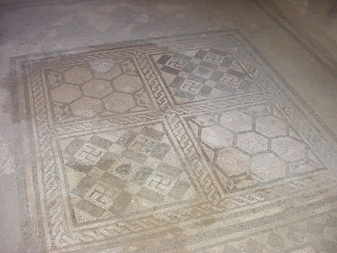 Fine tiled floor found in one of the more prestigious dwellings.