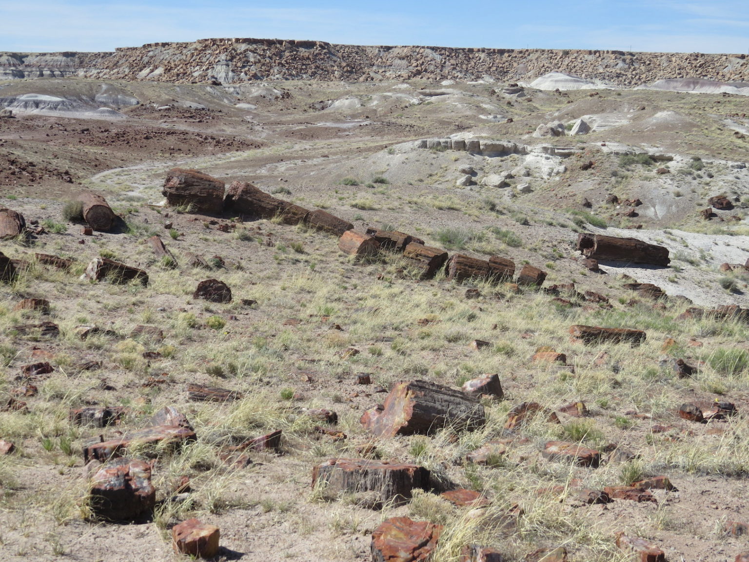 Albuquerque, NM to Holbrook, AZ / Holbrook, AZ – day thirteen and ...